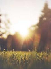 lt;Guide to Seducing